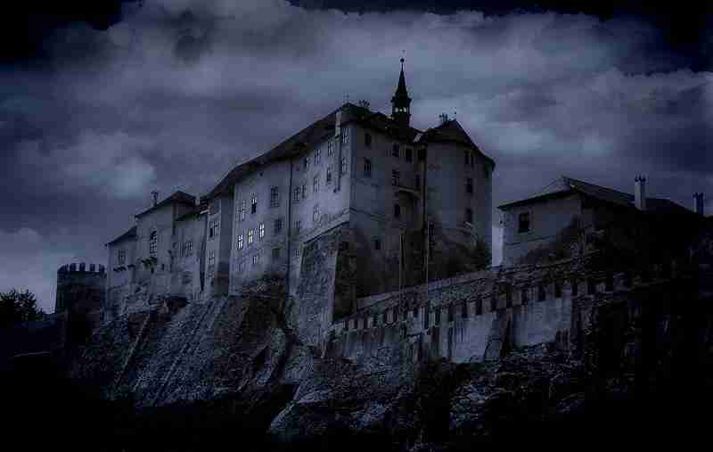 郑州西亚斯学院校花叶清欢